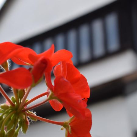 Alma Inn & Dining Rooms Гарвіч Екстер'єр фото