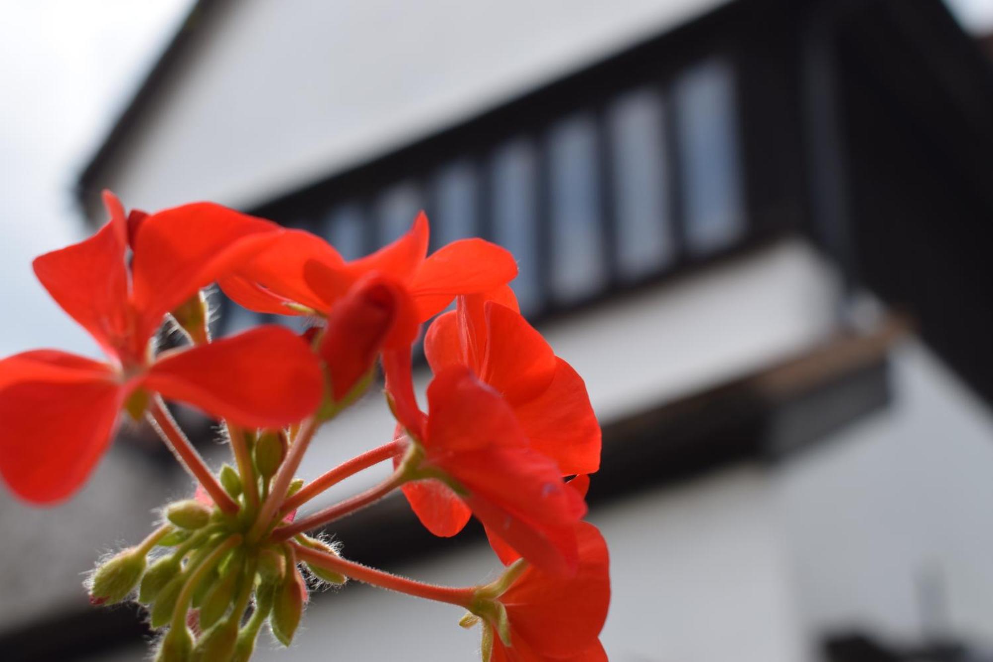 Alma Inn & Dining Rooms Гарвіч Екстер'єр фото